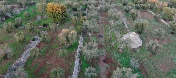 Studio in Carovigno, Italy No. 164890 21