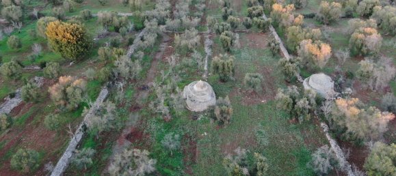 Studio in Carovigno, Italy No. 164890 16