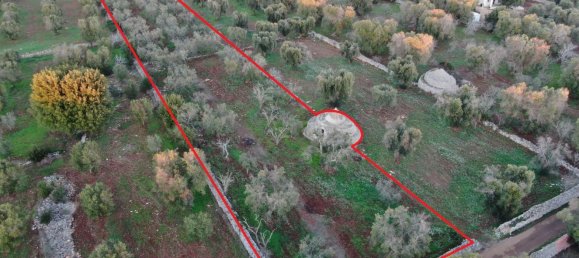 Studio in Carovigno, Italy No. 164890 14