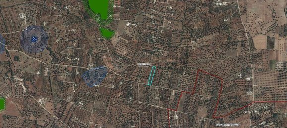 Studio in Carovigno, Italy No. 164890 8