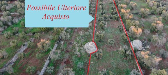 Studio in Carovigno, Italy No. 164890 12