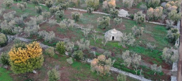 Studio in Carovigno, Italy No. 164890 19