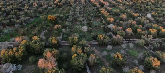 Studio in Carovigno, Italy No. 164890 15