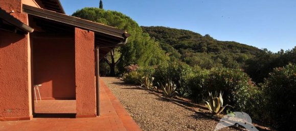 5-Zimmer Gewerbliche Immobilie in Castiglione della Pescaia, Italy, Nr. 207308 11