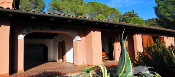 5-Zimmer Gewerbliche Immobilie in Castiglione della Pescaia, Italy, Nr. 207308 16