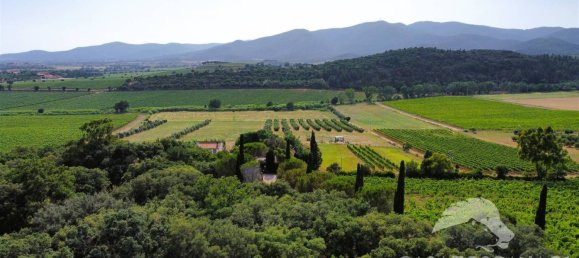 5-Zimmer Gewerbliche Immobilie in Castiglione della Pescaia, Italy, Nr. 207308 3