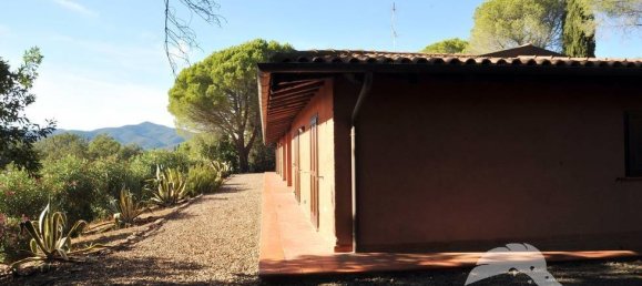 5-Zimmer Gewerbliche Immobilie in Castiglione della Pescaia, Italy, Nr. 207308 14