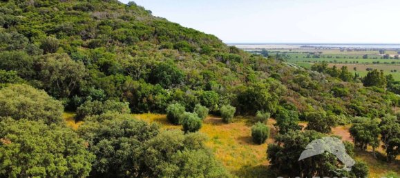 5-Zimmer Gewerbliche Immobilie in Castiglione della Pescaia, Italy, Nr. 207308 5