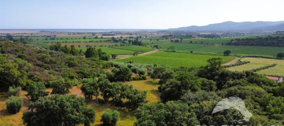 5-Zimmer Gewerbliche Immobilie in Castiglione della Pescaia, Italy, Nr. 207308 4