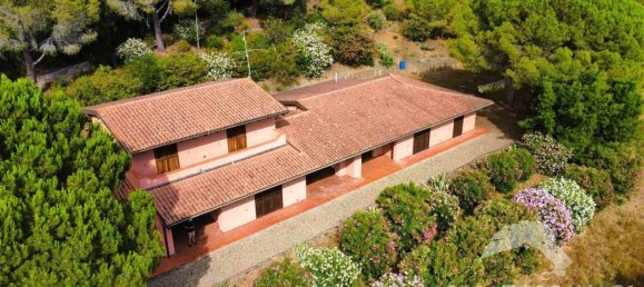 5-Zimmer Gewerbliche Immobilie in Castiglione della Pescaia, Italy, Nr. 207308 7