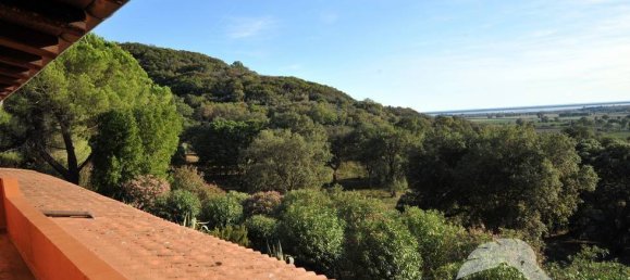 5-Zimmer Gewerbliche Immobilie in Castiglione della Pescaia, Italy, Nr. 207308 18