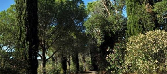 5-Zimmer Gewerbliche Immobilie in Castiglione della Pescaia, Italy, Nr. 207308 23