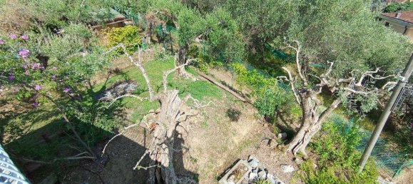 Terreno de 6 habitaciónes en Massarosa, Italy No. 79960 20