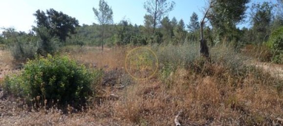 Grundstück in Loule, Portugal 50m², Nr. 355088 24