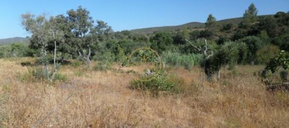 Grundstück in Loule, Portugal 50m², Nr. 355088 13