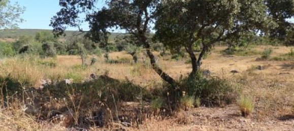 Grundstück in Loule, Portugal 50m², Nr. 355088 22