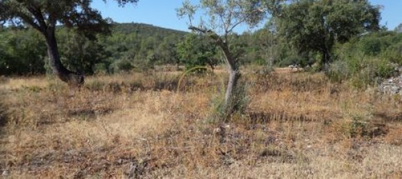 Grundstück in Loule, Portugal 50m², Nr. 355088 19