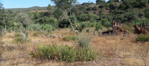 Grundstück in Loule, Portugal 50m², Nr. 355088 17