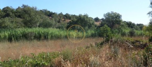 Grundstück in Loule, Portugal 50m², Nr. 355088 8