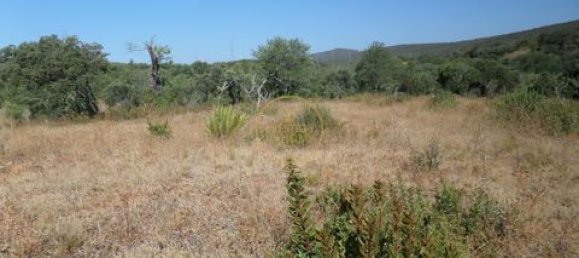 Grundstück in Loule, Portugal 50m², Nr. 355088 20