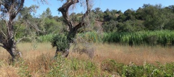 Grundstück in Loule, Portugal 50m², Nr. 355088 9