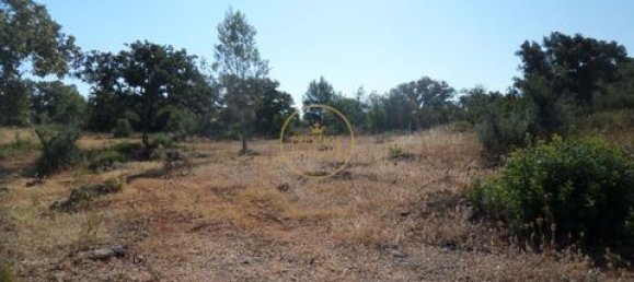 Grundstück in Loule, Portugal 50m², Nr. 355088 23