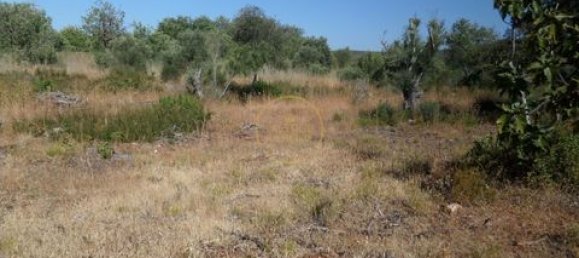 Grundstück in Loule, Portugal 50m², Nr. 355088 21