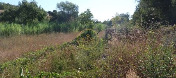 Grundstück in Loule, Portugal 50m², Nr. 355088 11