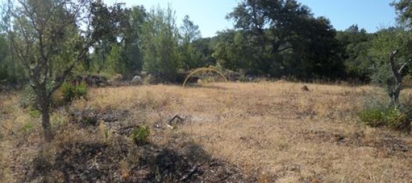 Grundstück in Loule, Portugal 50m², Nr. 355088 18