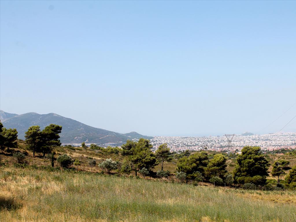  فندق في Penteli, Greece 22000متر مربع رقم 7647