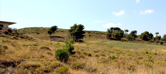  فندق في Penteli, Greece 22000متر مربع رقم 7647 5