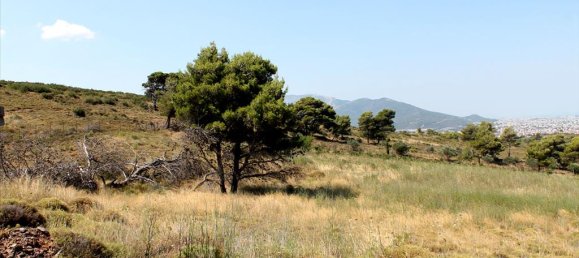  فندق في Penteli, Greece 22000متر مربع رقم 7647 7