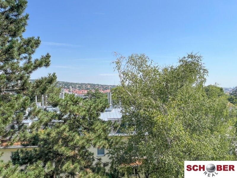 Квартира с 2 комнатами в Хитцинг, Австрия № 261850