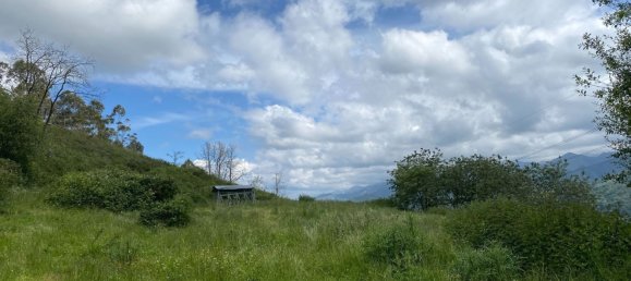  قطعة أرض في Cangas de Onis, Spain رقم 156559 44