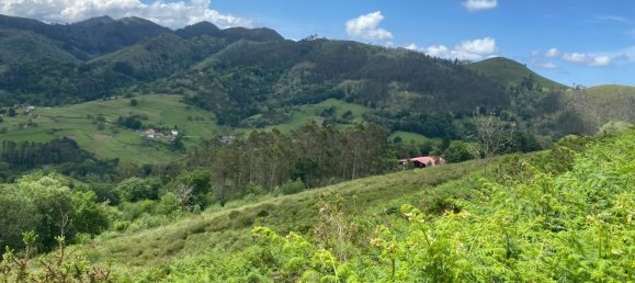  قطعة أرض في Cangas de Onis, Spain رقم 156559 50