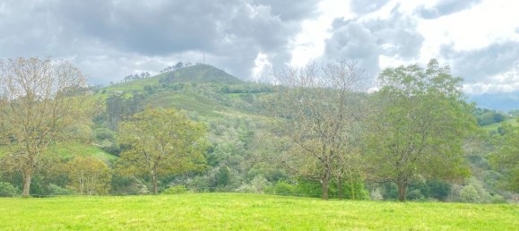  قطعة أرض في Cangas de Onis, Spain رقم 156559 7