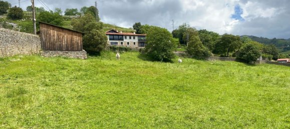  قطعة أرض في Cangas de Onis, Spain رقم 156559 27