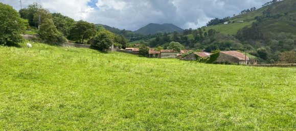  قطعة أرض في Cangas de Onis, Spain رقم 156559 28