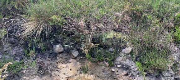  قطعة أرض في Cangas de Onis, Spain رقم 156559 45