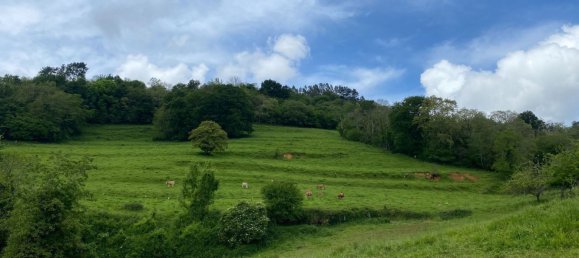  قطعة أرض في Cangas de Onis, Spain رقم 156559 35