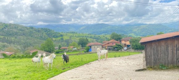  قطعة أرض في Cangas de Onis, Spain رقم 156559 21