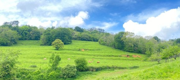  قطعة أرض في Cangas de Onis, Spain رقم 156559 39