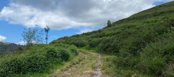  قطعة أرض في Cangas de Onis, Spain رقم 156559 40