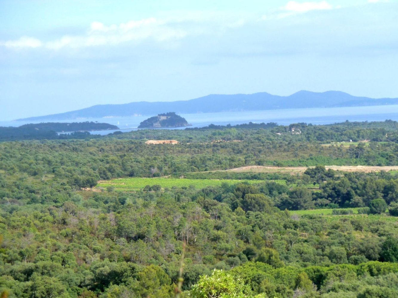 18269m² Land in La Londe-les-Maures, France No. 251294