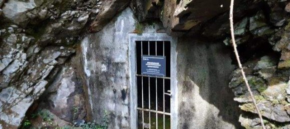 Земельный участок в Грачах, Австрия № 158573 4