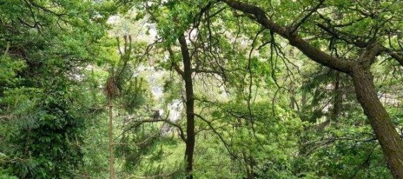 Земельный участок в Грачах, Австрия № 158573 3