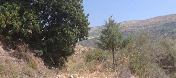 Grundstück in Almeria, Spain, Nr. 160755 12