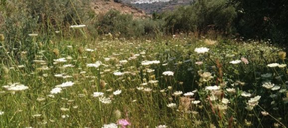 Grundstück in Almeria, Spain, Nr. 160755 24