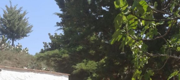 Grundstück in Almeria, Spain, Nr. 160755 11