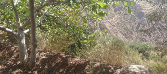 Grundstück in Almeria, Spain, Nr. 160755 18